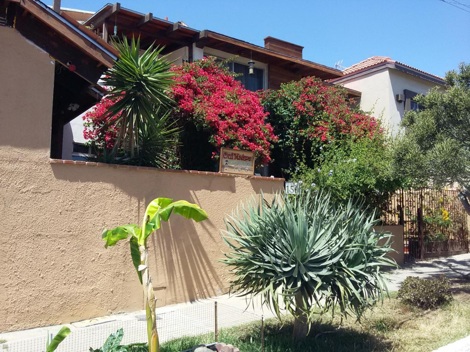 B&B Oui Madame Tijuana Zewnętrze zdjęcie