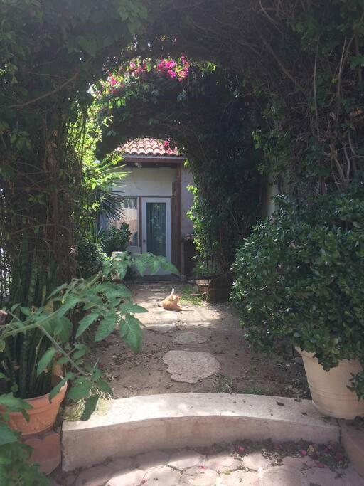 B&B Oui Madame Tijuana Pokój zdjęcie