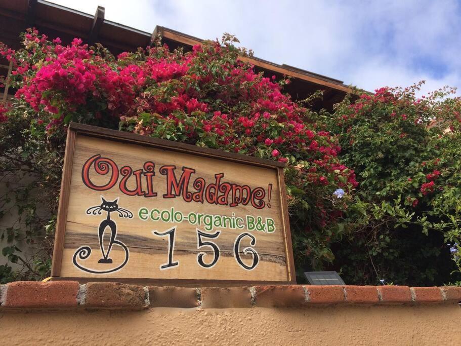 B&B Oui Madame Tijuana Pokój zdjęcie